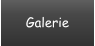 Galerie